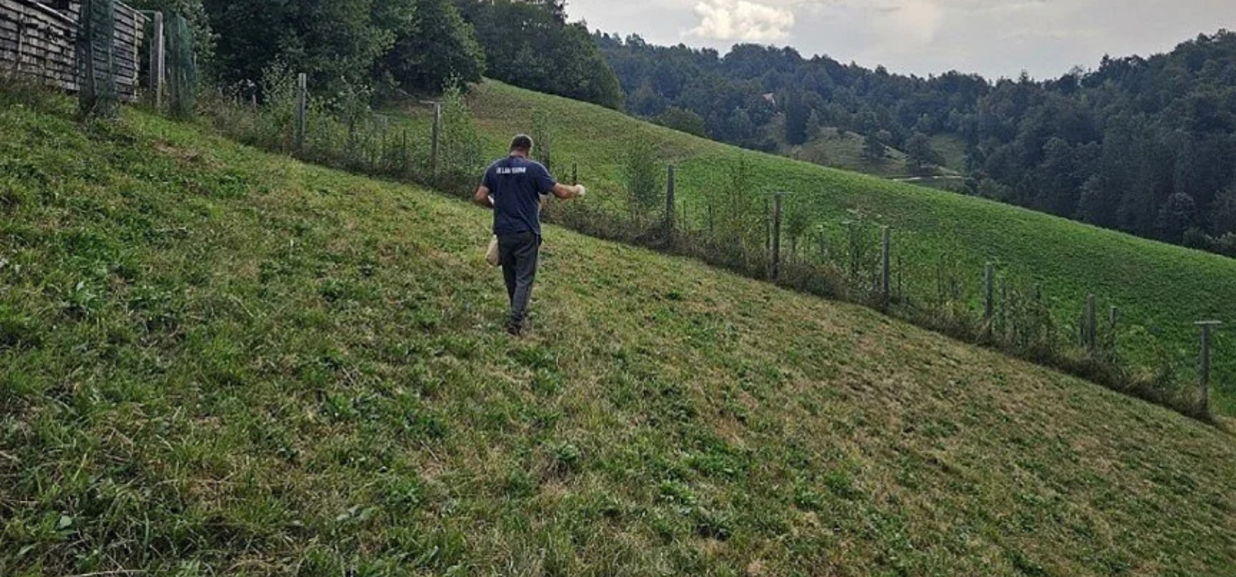 A person walks along a steep grassy slope surrounded by a fence, with wooded hills and green fields in the background under a partly cloudy sky.