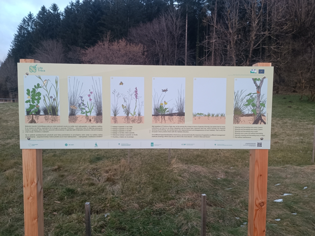 https://notranjski-park.si/assets/uploads/images/original/Projekti/LIFE-Trsca/1737014613823.jpg