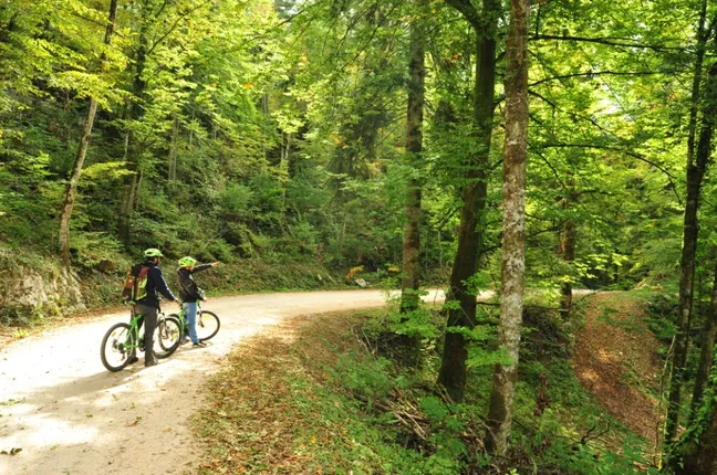 Kolesarja stojita na makadamski cesti sredi gozda v Rakovem Škocjanu