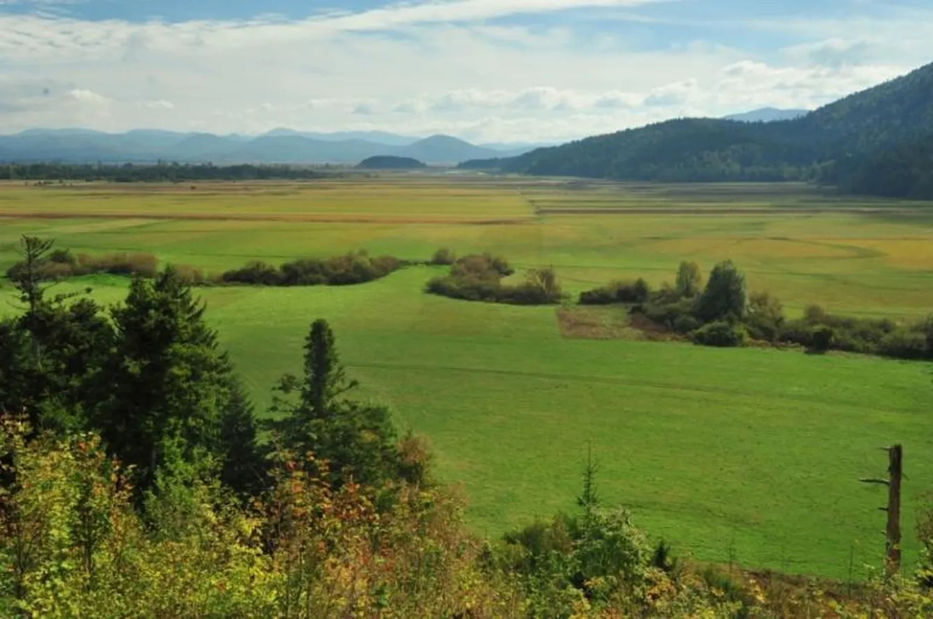 Kolesarjenje Ščuka-Razgled na Cerkniško polje z zelenimi travniki, grmičevjem in gozdnatimi hribi v ozadju, pod delno oblačnim nebom.