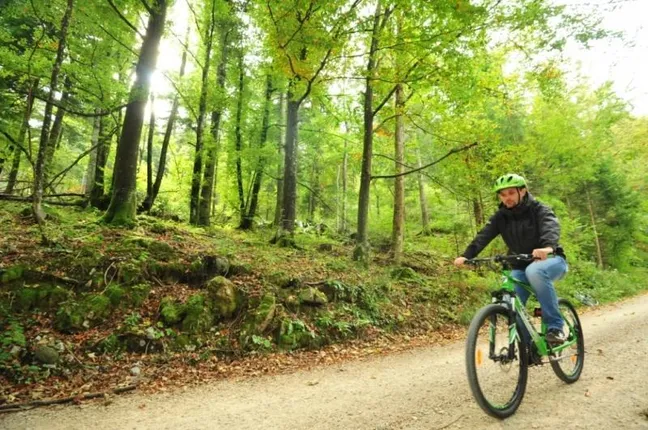 Kolesarjenje Ščuka-Kolesar na gorskem kolesu vozi po makadamski gozdni poti ob Cerkniškem jezeru, obdan z zelenimi drevesi in sončnimi žarki, priljubljena trasa za rekreacijo.