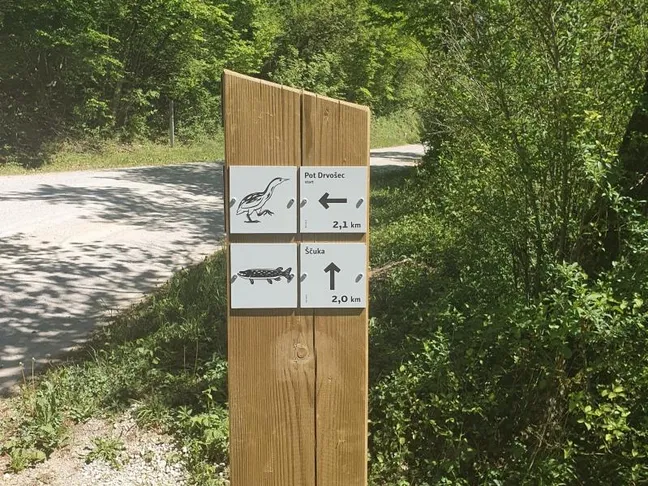Kolesarska pot Ščuka - leseni steber z oznakami za tematske kolesarske poti ob makadamski cesti Cerkniškega jezera, obdana z zelenjem.