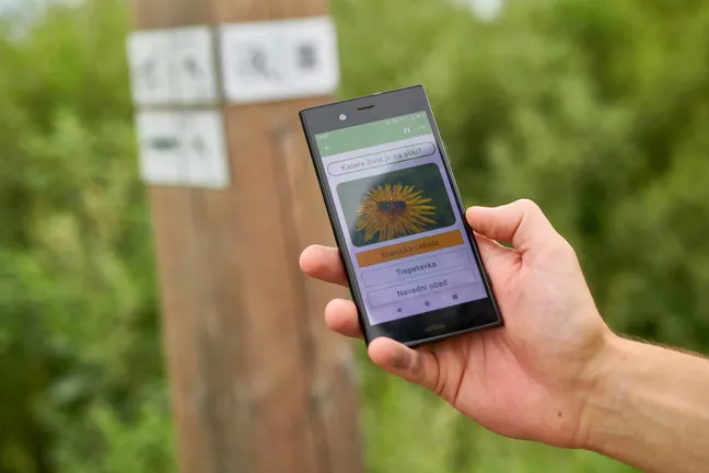 Roka drži pametni telefon z aplikacijo o kolesarskih doživetjih, v ozadju usmerjevalni stebriček na kolesarski poti ob Cerkniškem jezeru.