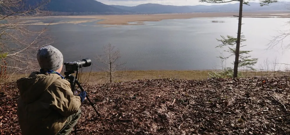 A child with a camera watches birds on the water surface of Lake Cerknica on an autumn day from a small hill.