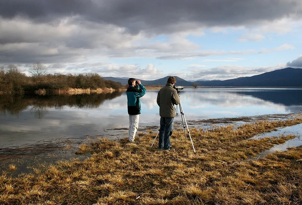 Two ornithologists are watching birds on Lake Cerknica. They are standing right next to the water, one with binoculars, the other with a spotting scope. The cloudy sky and the forest, dressed in brownish colors, in the background are reflected in the water, giving the impression of a true autumn idyll.