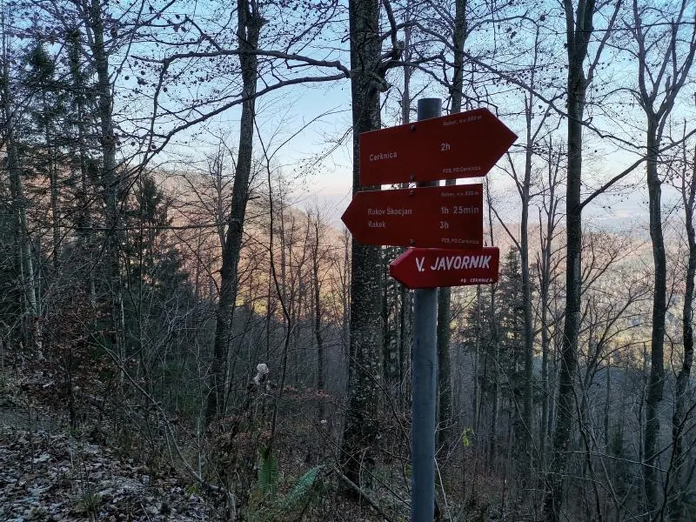 Planinske oznake v gozdu na pohodniški poti na Veliki Javornik.