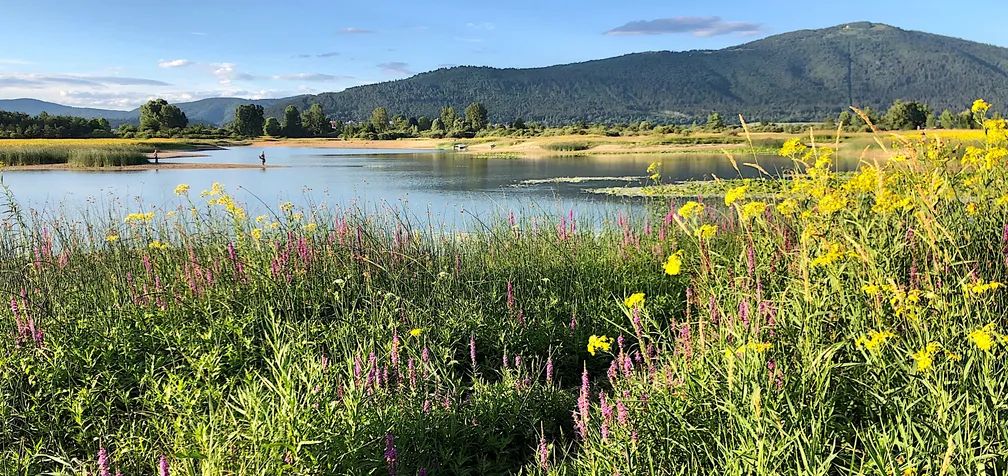 View of Lake Cerknica with a fisherman in the distance, wildflower meadows with yellow and purple blossoms in the foreground, and Mount Slivnica rising under the blue sky in the background.