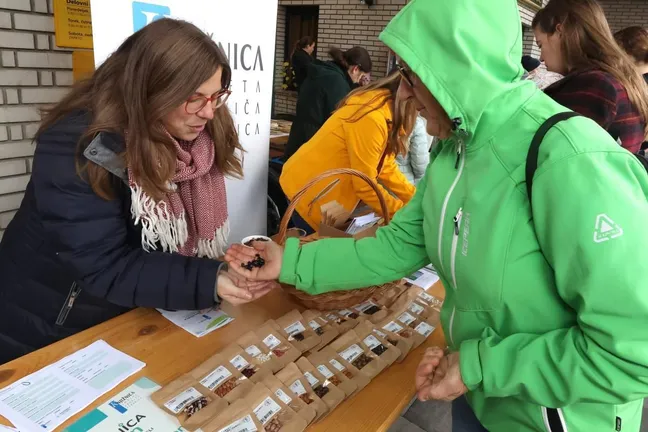 At the seed stand, two visitors examine the larger black grains they are holding. On the table between them, a multitude of different seeds in paper bags are displayed.