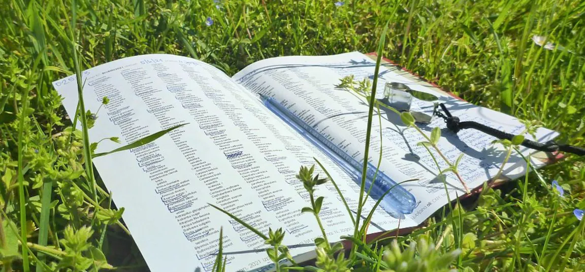Odprta knjiga z določevalnim ključem ali seznamom rastlin leži v travi na sončnem travniku. Med stranmi in okoli knjige rastejo zelene travniške rastline, na desni strani pa sta vidna povečevalno steklo in pisalo. Svetla naravna osvetlitev poudarja zeleno okolico in raziskovalni značaj prizora.
