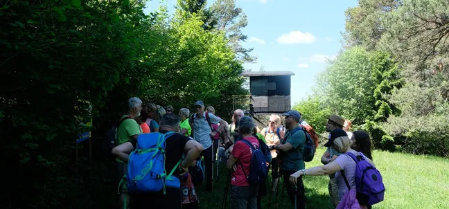 Group of hikers during a stop at the edge of the forest.