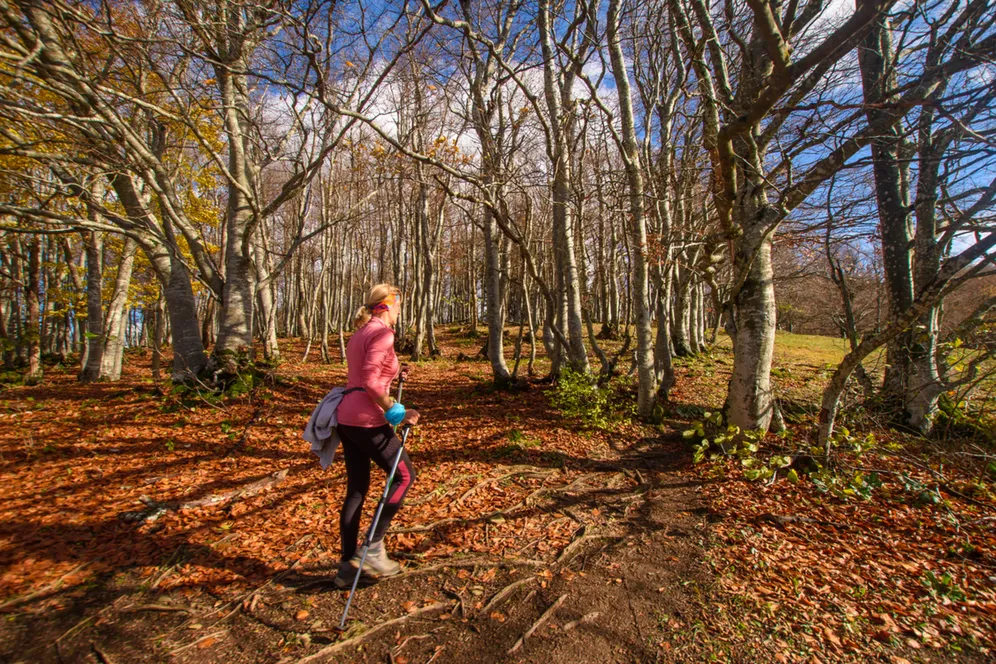 Ženska se vzpenja na hrib Slivnica. Obdaja jo narava odeta v jesenske barve. Na tleh je jesensko listje.