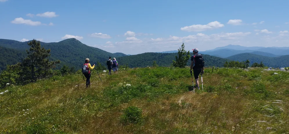 Štirje pohodniki z nahrbtniki in pohodniškimi palicami hodijo po travnatem hribu z gorami v ozadju. Nebo je jasno z nekaj raztresenimi oblaki.