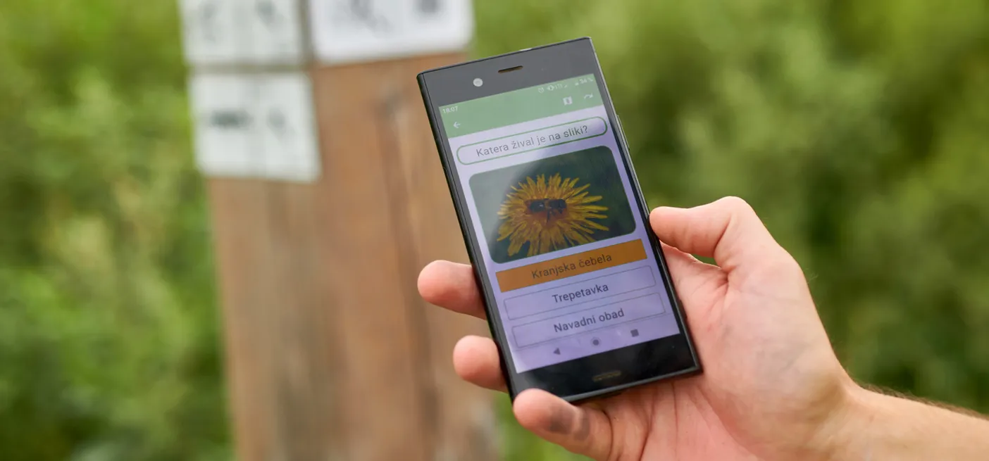 Oseba v roki drži mobilni telefon, na katerem je vidna slika rumene cvetlice. V ozadju so leseni stebri z oznakami in grmičevje.