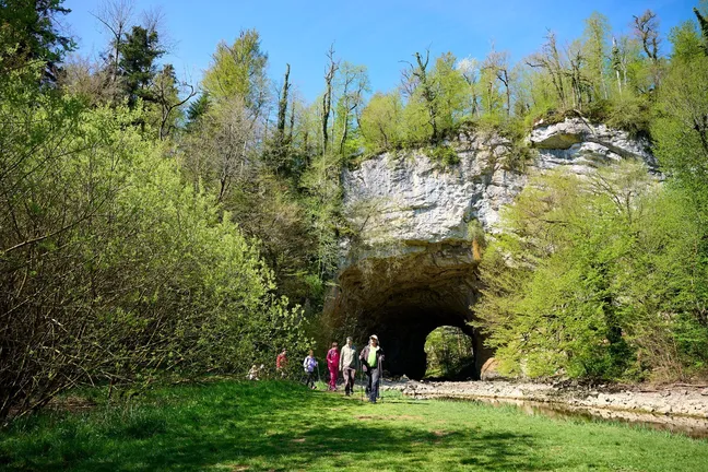 A group of hikers on a guided hike in Rakov Škocjan walk across a meadow in front of the Big Natural Bridge, which is clearly visible in the background.