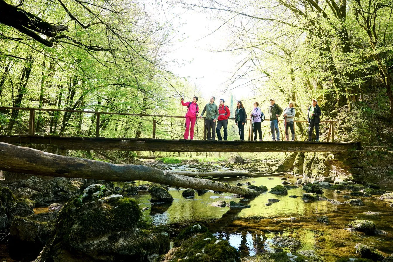 A group of eight hikers stand on a wooden bridge in Rakov Škocjan, a guide with a hiking pole pointing to the nearby forest.