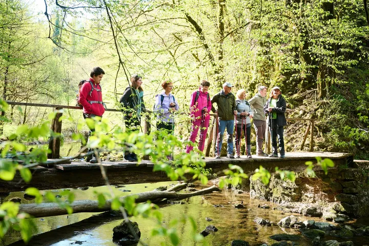 A group of hikers stands on a wooden bridge in Rakov Škocjan. They look at the Rak River, which flows peacefully below them, in the foreground there are green tree branches.