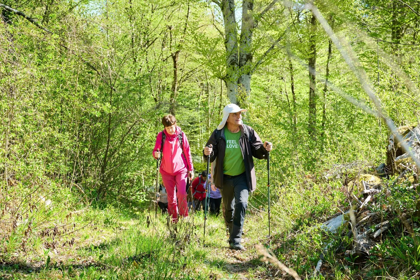 A guide with a cap and a green T-shirt with the inscription "I feel Slovenia" is walking along a forest path with hiking poles. Behind him there is a female hiker in a pink outfit, the rest of the hikers are in the background, a few meters behind them.