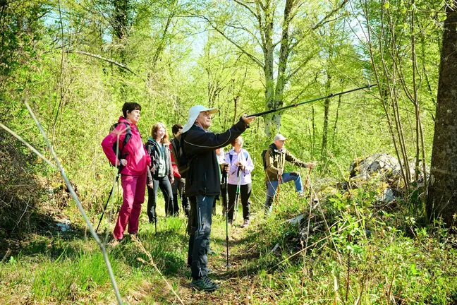A group of hikers gathered in the forest. In the foreground there is a guide pointing into the distance with a hiking pole, the others are following him with their eyes.