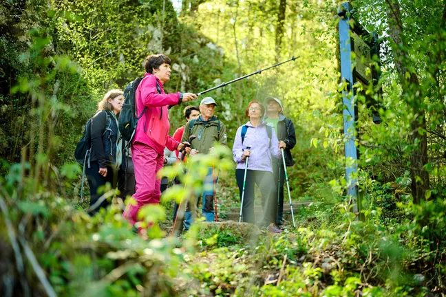 A group of hikers are gathered in front of an information board on a nature trail in Rakov Škocjan. The guide is pointing to the content on the board with a hiking pole.
