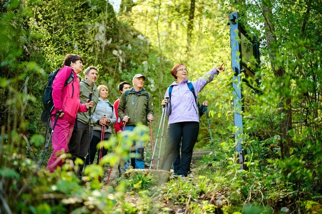 A group of hikers are gathered in front of an information board on a nature trail in Rakov Škocjan. One of the hikers is closer to the board and points at it with her finger.