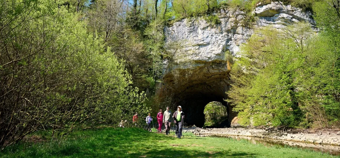 A group of hikers on a guided hike in Rakov Škocjan walk across a meadow in front of the Big Natural Bridge, which is clearly visible in the background.