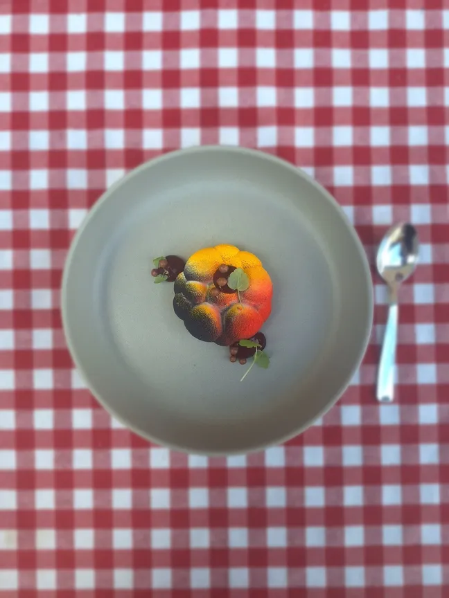 Umetniško servirana jed na sivem krožniku z mikro zelenjem na rdeče-belem kariranem prtu