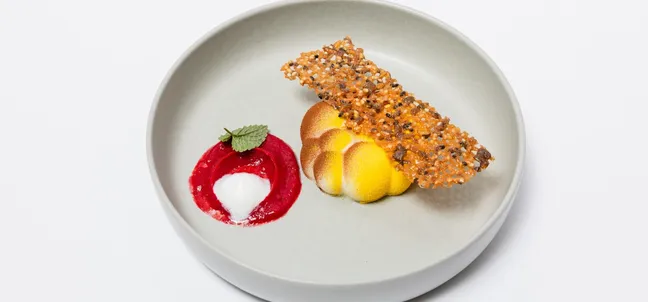 White chocolate dessert with raspberry cream on a plate.