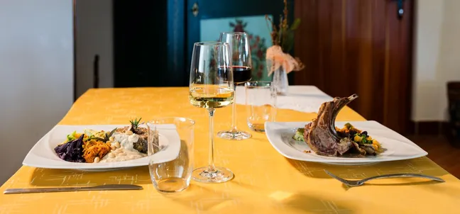 Meat and vegetarian dishes with wine pairing at tourist farm Strle.
