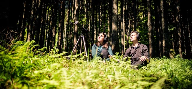 A man and a woman sit in a sunlit forest clearing surrounded by ferns, listening to nature sounds through headphones. Recording equipment with a microphone on a tripod stands between them.