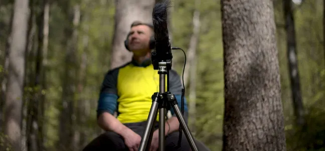 A man sits on the forest floor among young shrubs, listening to nature sounds through headphones, with a microphone on a tripod beside him ready for recording.