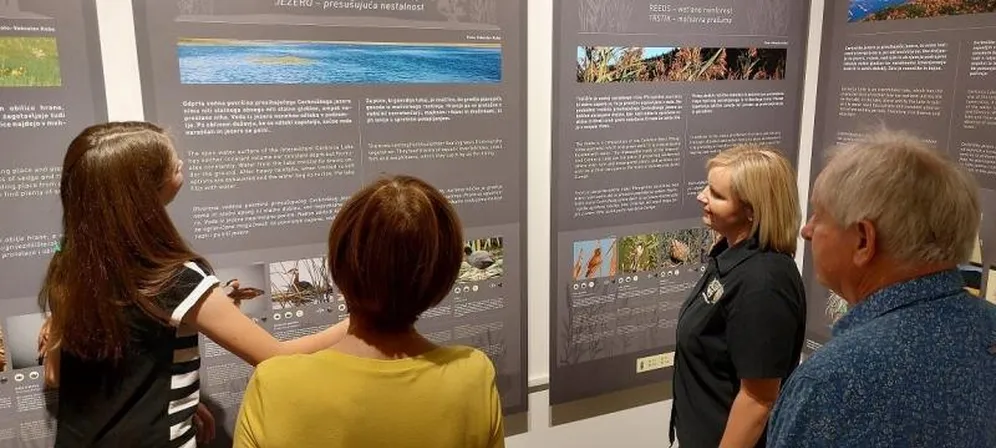 Skupina oseb si ogleduje informacije o pticah.