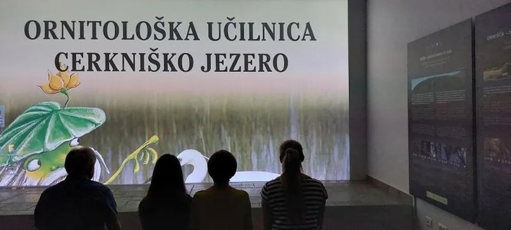 People are watching a presentation about the birds of Lake Cerknica on a screen.