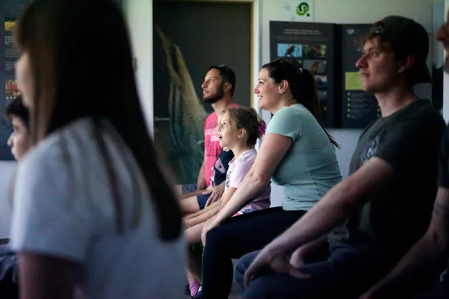 A group of people sit in an ornithology classroom by Lake Cerknica and watch a presentation with interest.