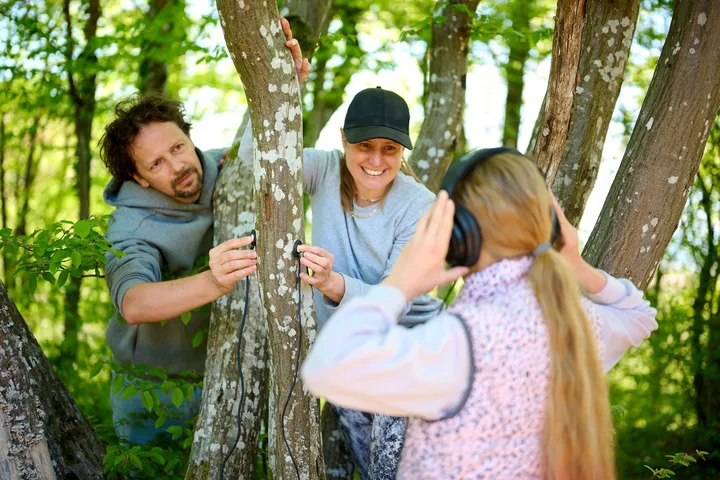 Three people are standing around a tree trunk, to which they attach special small microphones. A girl in the foreground is listening to sounds coming from under the bark with headphones.