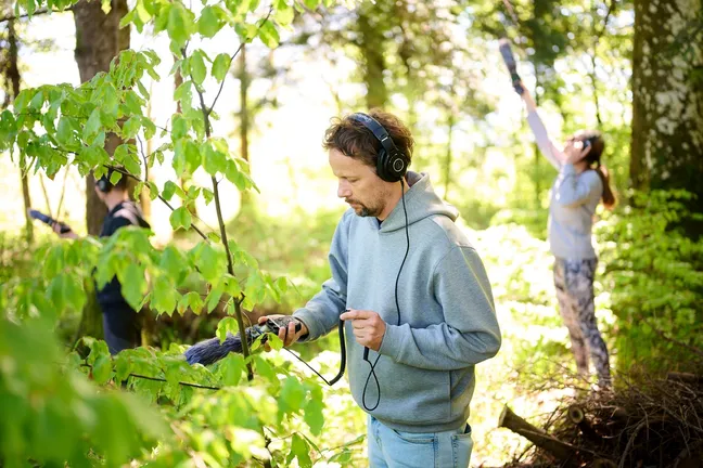 Two people are standing in the forest with microphones and headphones. They are listening to the sounds of the forest, the person in the foreground has the microphone pointed at a nearby bush, and the person in the background is pointing up towards the treetop.