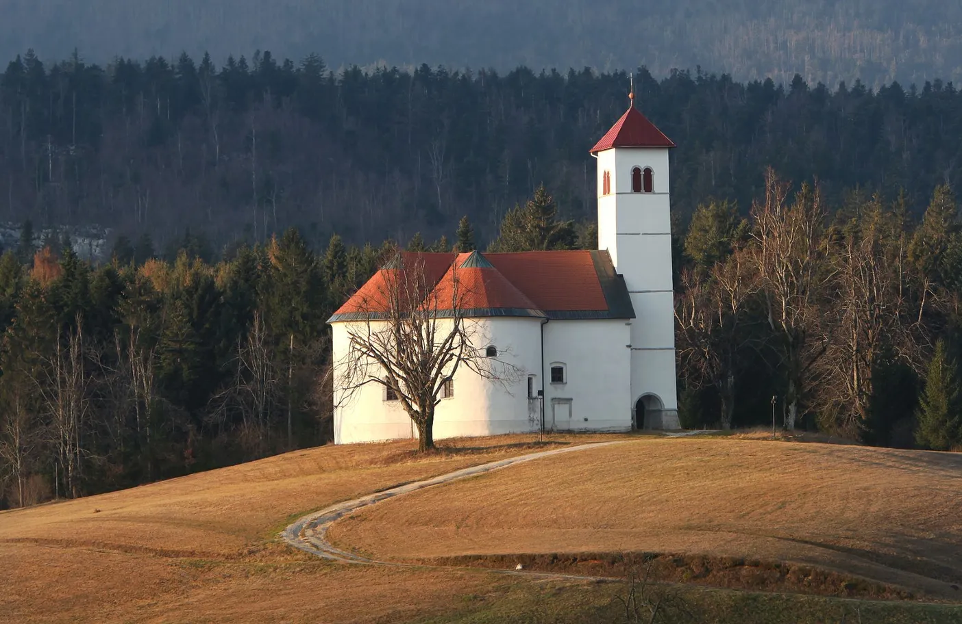 The Church of St. Volbenk near the village of Zelše on a lonely hill, a tree stands in front of it, and a forest spreads out behind it.