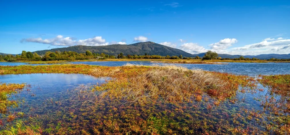 Autumn panoramic view of Mount Slivnica, with swampy Lake Cerknica in the foreground.
