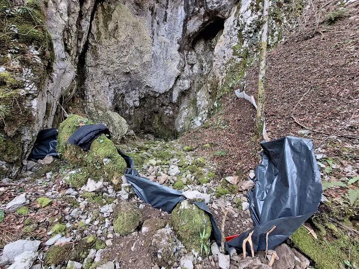 Vhod v kraško jamo med skalnimi stenami v gozdu. Ob vhodu so na tleh in skalah nameščene črne zaščitne folije, ki prekrivajo del površine. Okolica je prekrita z odpadlim listjem, mahom in skalami.