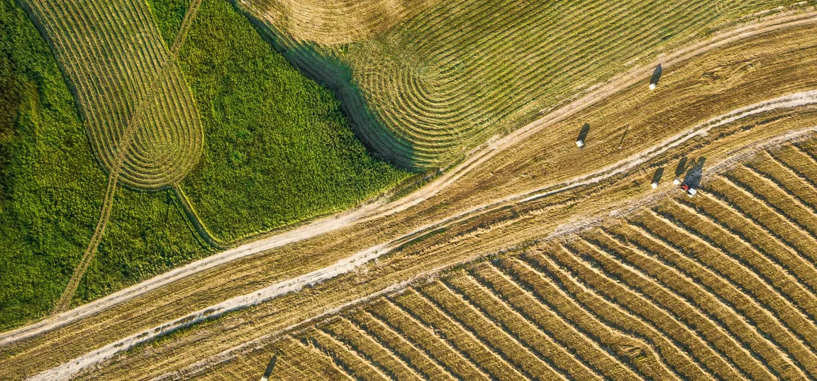 Pogled iz zraka na mozaik kmetijskih površin z vzporednimi vrstami pokošenih travnikov. Med travniki poteka kolovozna pot, ob njej pa so vidni zeleni pasovi vegetacije in manjša skupina ljudi. Topla večerna svetloba poudarja vzorce v krajini.