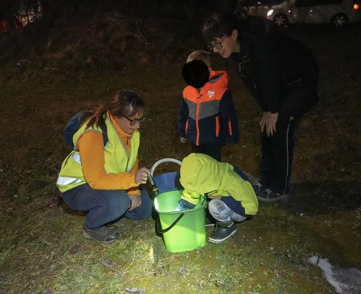 Skupina dveh odraslih oseb in dveh otrok ponoči pregleduje zeleno vedro na travnati površini; eden od otrok se skloni nad vedro, medtem ko drugi stojijo ob njem in opazujejo.