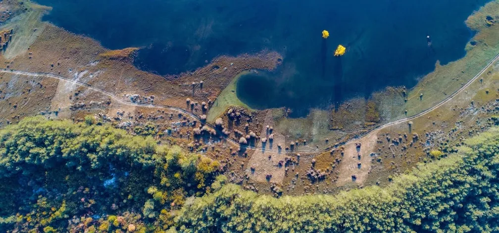 Pogled iz zraka na Cerkniško jezero, obrežje in okoliške gozdove.