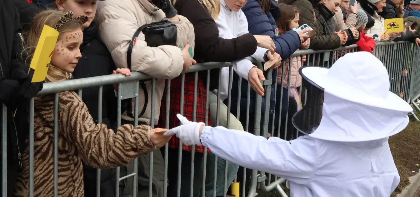 Udeleženec v čebelarskem kostumu med pustno povorko deli promocijski material obiskovalcem za ograjo.