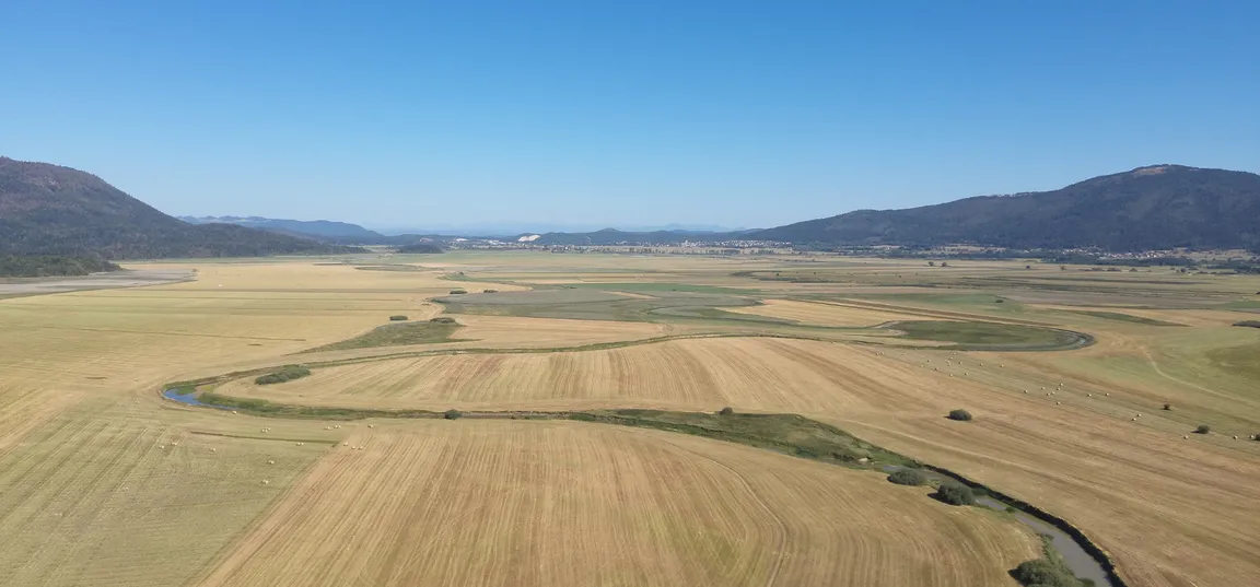 Pogled iz zraka na obsežno suho kraško polje z mozaikom pokošenih travnikov in njiv. Skozi ravnico se vije ozka struga vodotoka, ki tvori značilen meander. Polje obdajajo gozdnata pobočja in hribi, nad pokrajino pa se razprostira jasno modro nebo.
