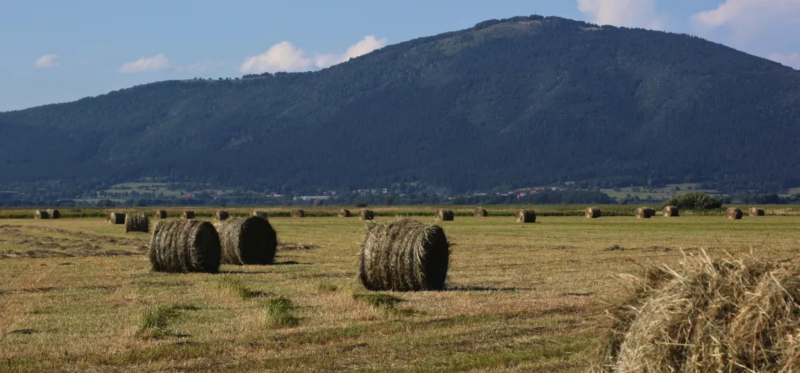 Travnik z več okroglimi balami sena, v ozadju pa gozdnato pobočje pod modrim nebom z oblaki.