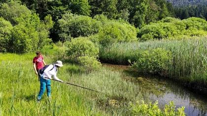 Two people are standing next to a small body of water in a green, densely overgrown environment; one person wearing a white hat and blue pants is holding a long stick, the other in a red shirt is standing behind.
