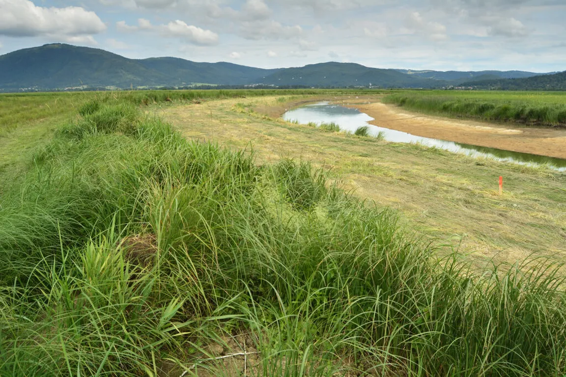 A landscape with a tall green meadow in the foreground, a winding karst watercourse  in the middle, and mountains in the background under a partly cloudy sky.