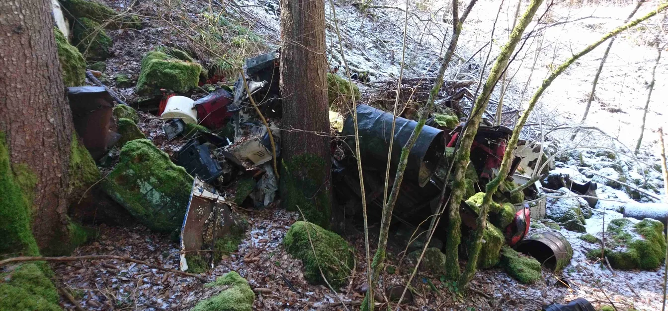 Kosovni odpadki, raztreseni na gozdni brežini med drevesi, obdanimi z mahom. Med odpadki so vidni kovinski deli, plastika in rdeči avtomobilski deli. Tla so prekrita s suhim listjem, v ozadju pa je opazen tudi sneg. Slika prikazuje onesnaženje narave v gozdnem okolju.