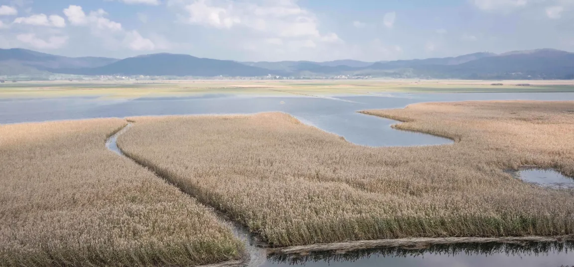 Panoramski pogled na obsežno mokrišče - Cerkniško jezero, z gosto rastočim trstičjem in ozkimi vodnimi kanali, ki se vijejo skozi vegetacijo. V ozadju je vidna hribovita pokrajina ter modro nebo z nekaj belimi oblaki.