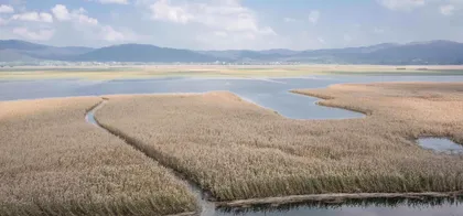 Panoramski pogled na obsežno mokrišče - Cerkniško jezero, z gosto rastočim trstičjem in ozkimi vodnimi kanali, ki se vijejo skozi vegetacijo. V ozadju je vidna hribovita pokrajina ter modro nebo z nekaj belimi oblaki.