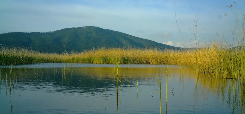 Mirno jezero z odsevom neba, obdano z visokimi rumenkastimi trstičnimi rastlinami, v ozadju se dviga gozdnat hrib pod modrim nebom z nekaj oblački.